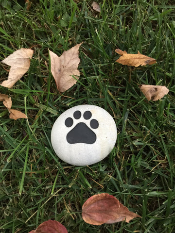 Pet Stone Paw Print