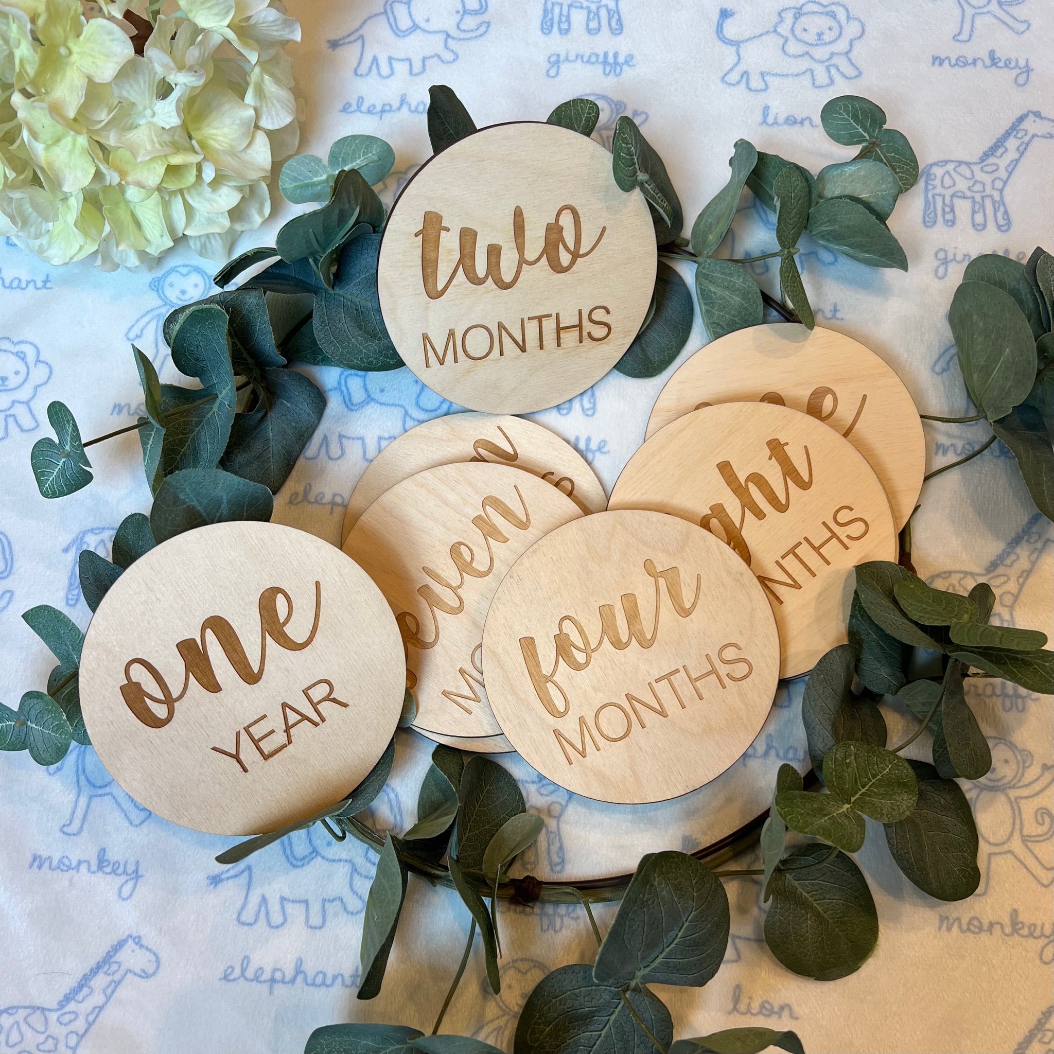 Baby Monthly Milestone Markers